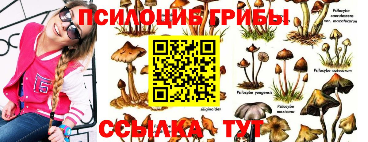 Галлюциногенные грибы Cubensis Тавда