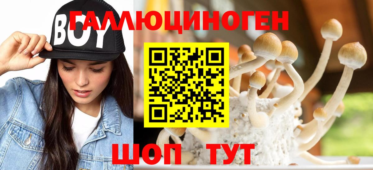 Тавда  наркошоп  Вход с VPN  Псилоцибиновые грибы мухоморы 