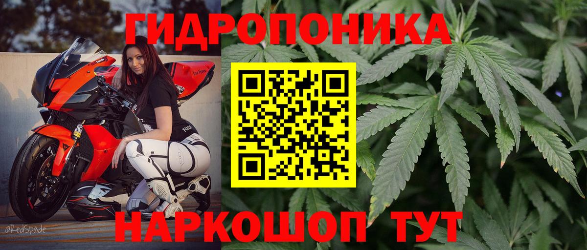Тавда  Бошки марихуана AK-47  Шишки марихуана план  Шишки марихуана тримм  Вход с VPN 